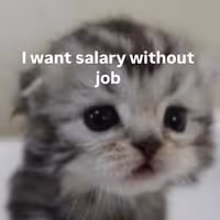 NEETCAT