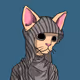 HHa6dutNMZfdK5AfXkD2JKckzKHNdjge8SxpVh85ufp4