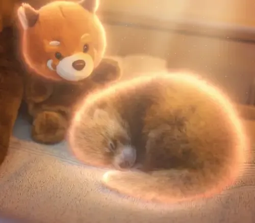 CUB