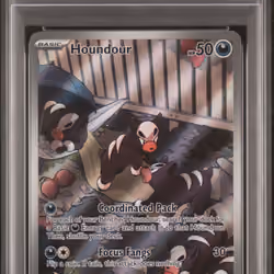2023 #204 Houndour PSA 10 Obf EN-Obsidian Flames Pokemon