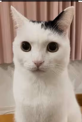 TAKERU