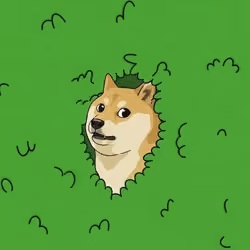 Doge