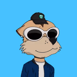 Meerkat #7996