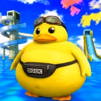 DOOK