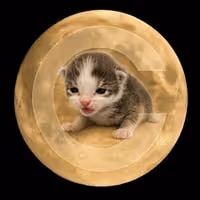 SMALLCATE