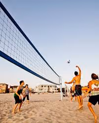 Volleyball