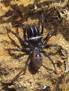 Capturing moments in time