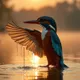 free bird