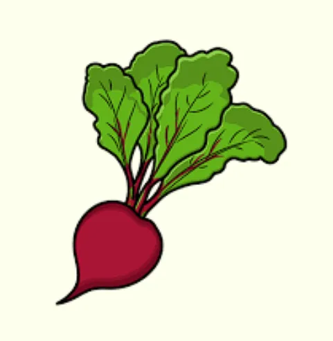 beetroot