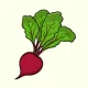 beetroot
