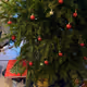 Somnia holiday