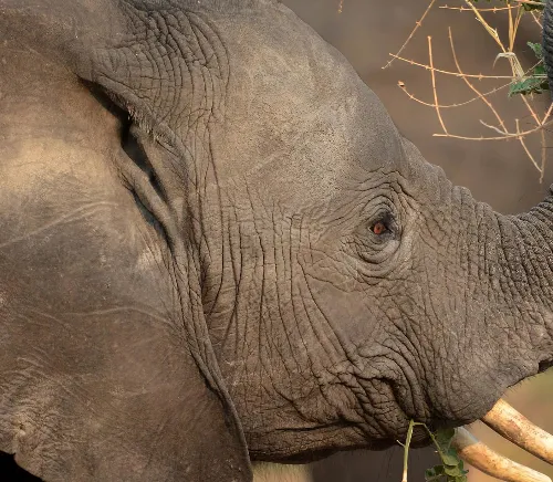 Global challenges tackled