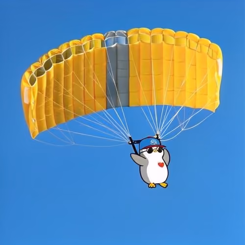 flying