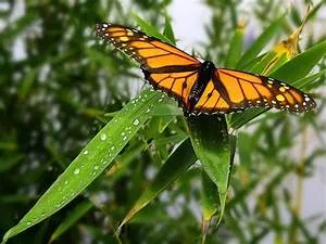 Sacred sites exploration