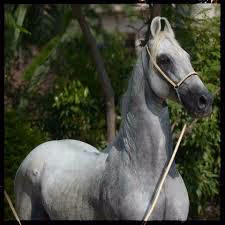 Capturing nature's beauty