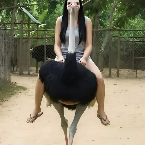 Cute