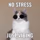 geenstress