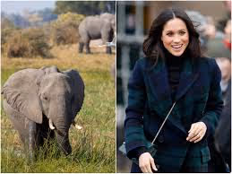 Paragliding over landscapes