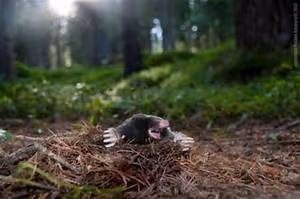 Inspiring artistic endeavors