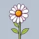 Chamomile