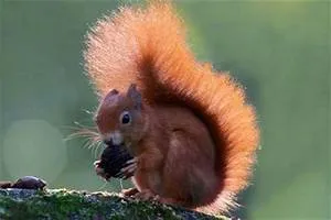 Healthcare accessibility campaigns