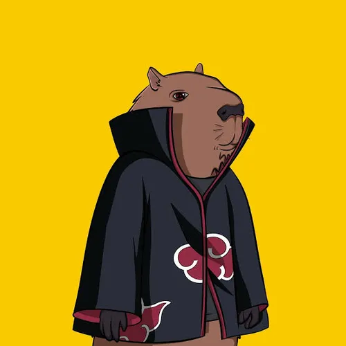 CAPY AKATSUKI