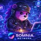 Somnia Network  Dream 