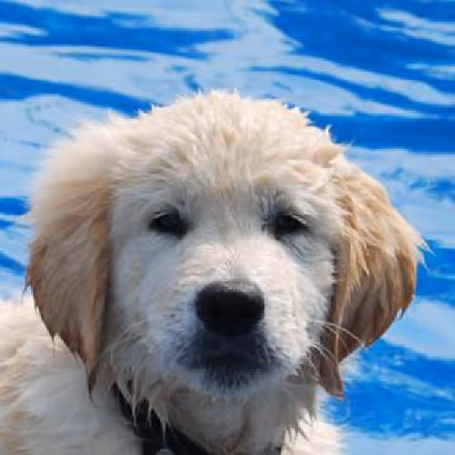 Sands and palm paradises