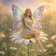 somibutterfly