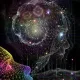UNIVERSOMI