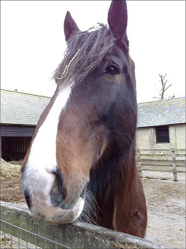 Hidden treasure hunt