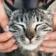 Shy_Sssnacc