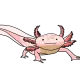 SALAMANDER
