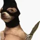 Dogga
