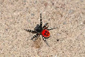 Sustainability awareness