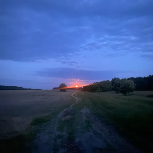 Sun light