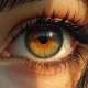 eye of somy