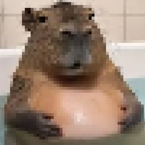 SomniCapy2