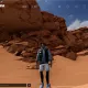 fgdsfg