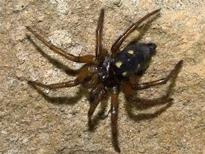 Championing equality for all