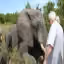 Wildlife photography expeditions