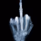 fck you