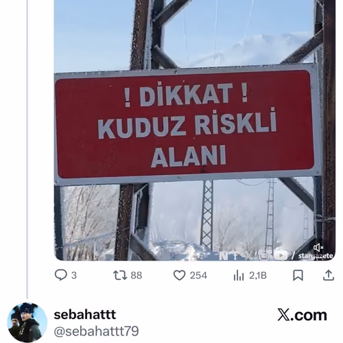 zvasdfvasdf