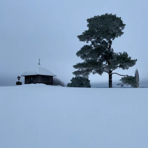 Winter
