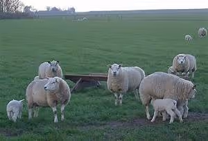 Greek mythology gods