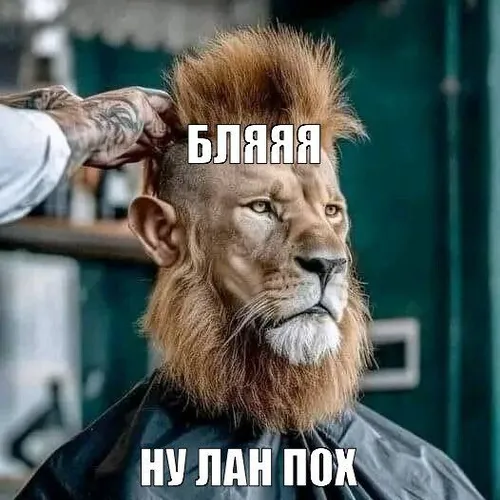 лан похуй