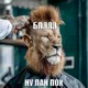 лан похуй