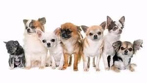 Collaborative synergy fostered