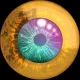 EYE