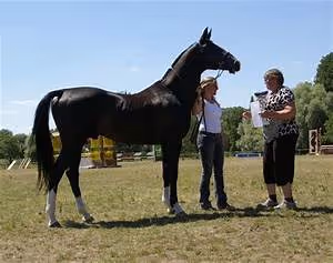 Spa and wellness retreats